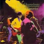 the chamelons-live toronto